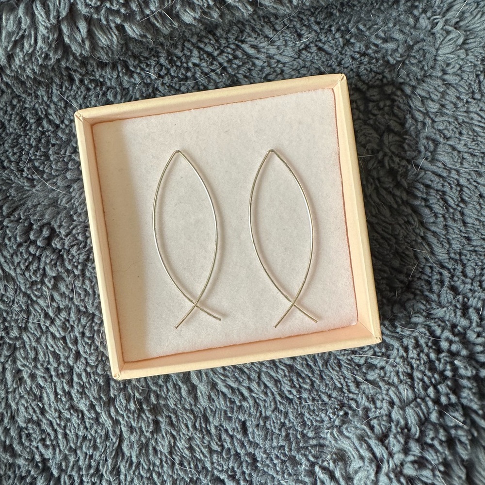 Elegant Silver Fish Hook Earrings